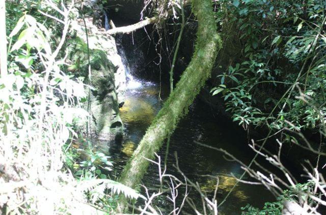 Pousada Quinta Das Nascentes Petrópolis Zewnętrze zdjęcie
