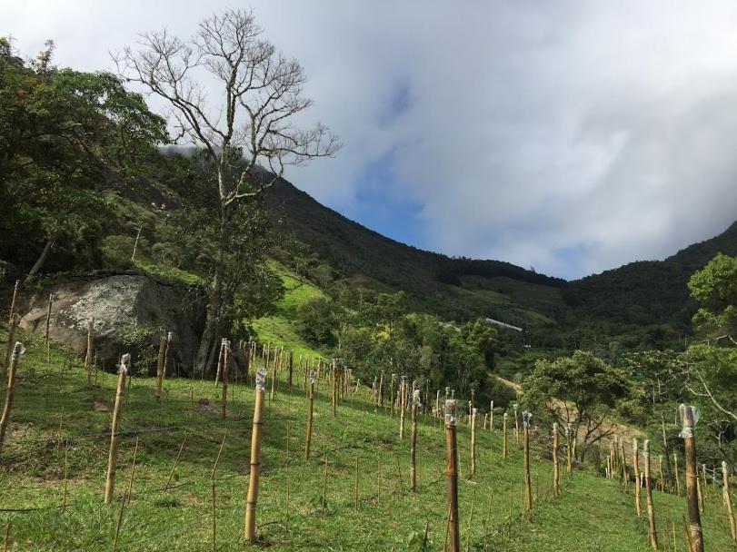 Pousada Quinta Das Nascentes Petrópolis Zewnętrze zdjęcie