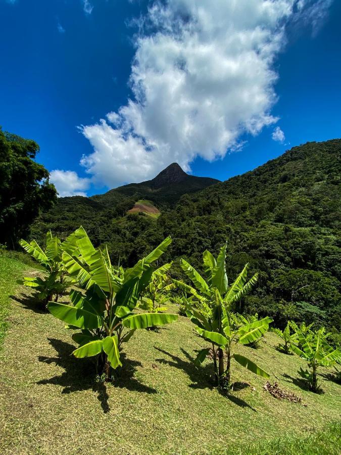 Pousada Quinta Das Nascentes Petrópolis Zewnętrze zdjęcie